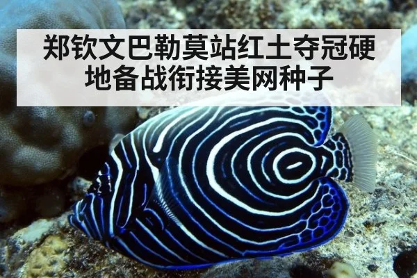 郑钦文巴勒莫站红土夺冠硬地备战衔接美网种子